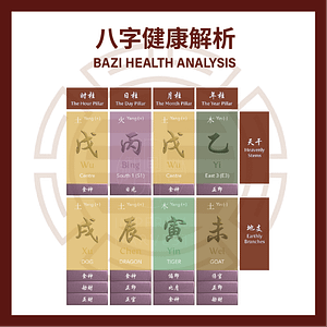 Bazi Health Analysis