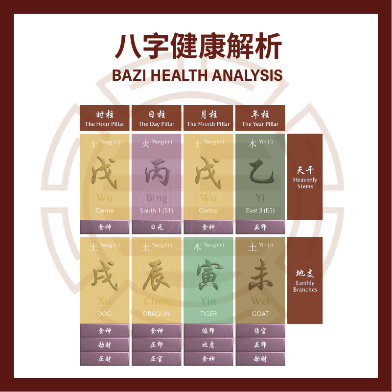 Bazi Health Analysis